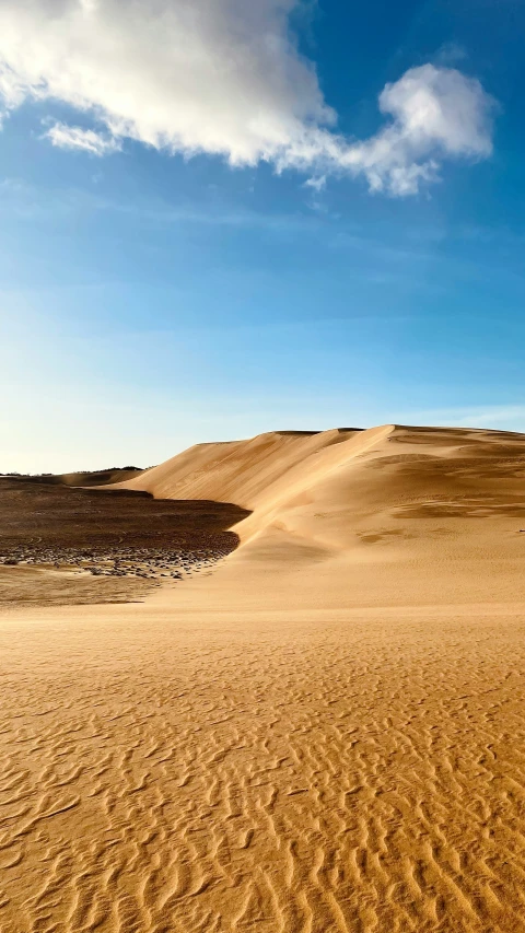 a barren, sandy area with a hill in the distance