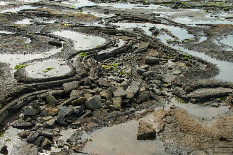 a dirt field with some rocks and plants