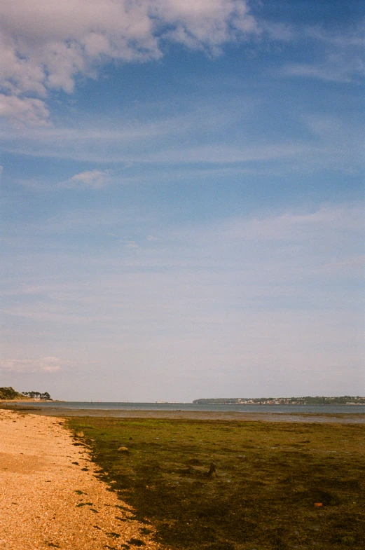 two people flying kites over a sandy beach