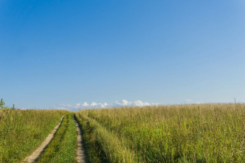 a view of a dirt path and grassy field on a clear day