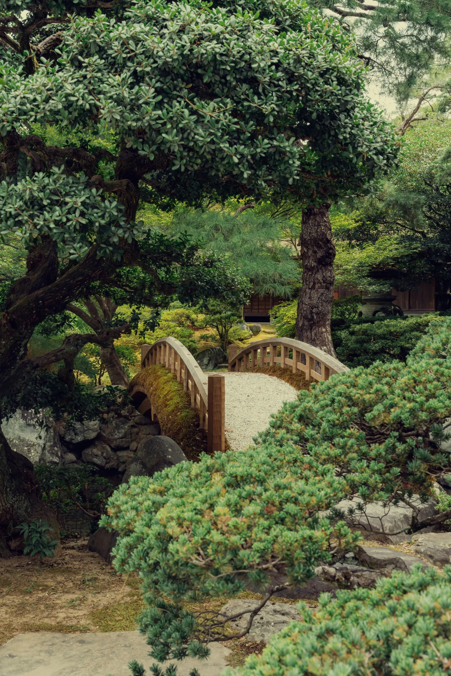 a wooden bridge crossing over the grass covered ground