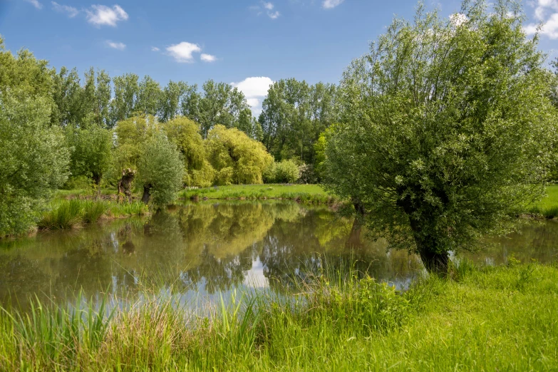 a large pond is in the middle of some green grass