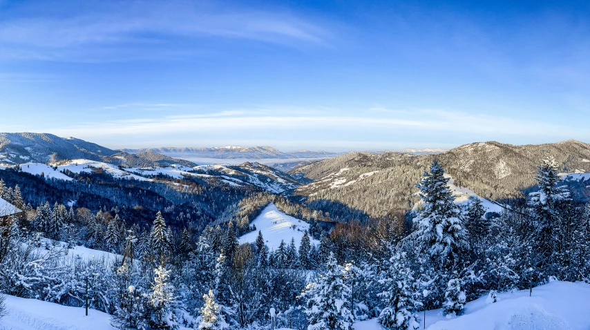 a view of some mountains with trees on each side