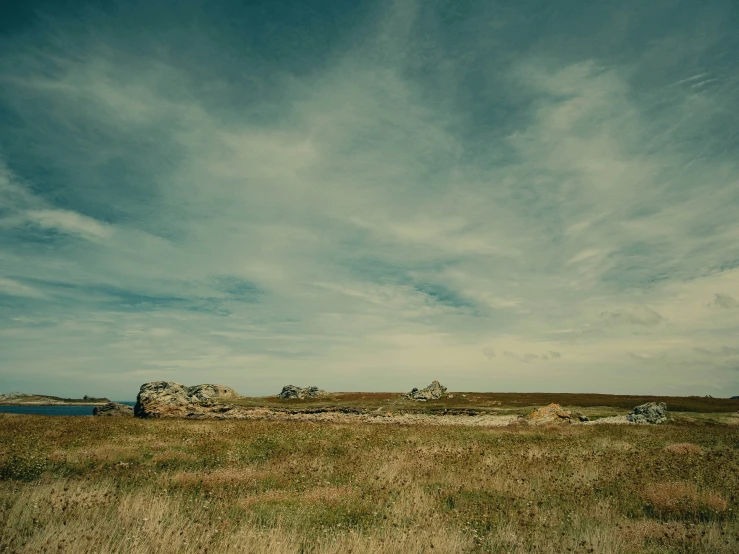 the view from the grass land of a barren field