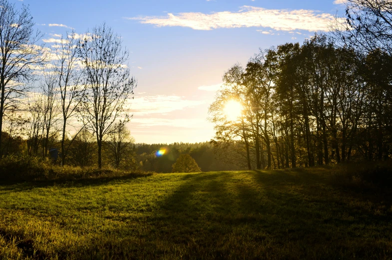 a green meadow surrounded by trees on a sunny day