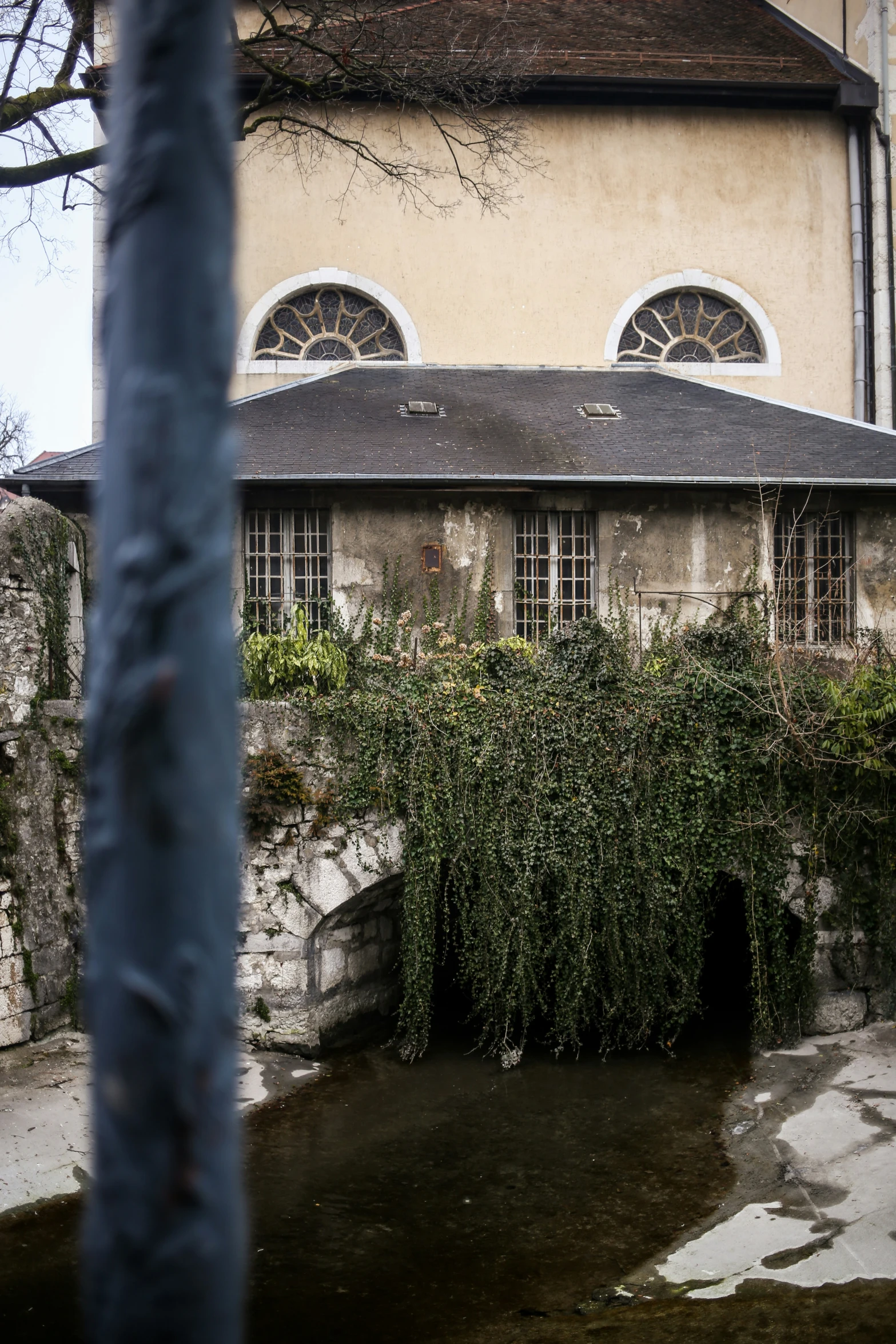 the top of an old house with vines around the windows