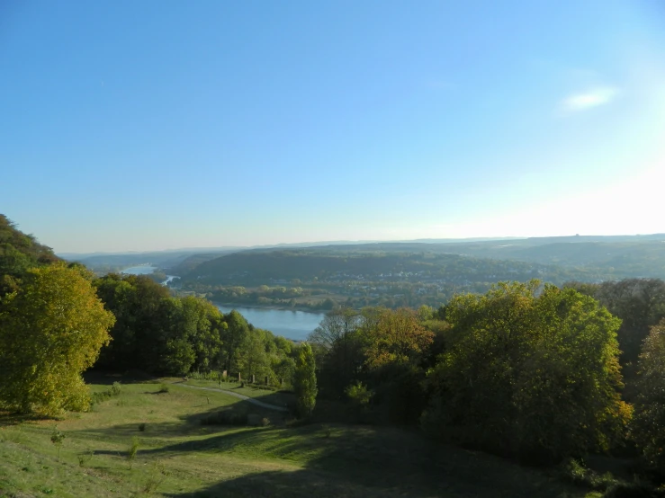 a scenic area with a lush green forest on the side