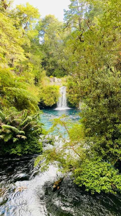 a waterfall in a stream surrounded by green forest