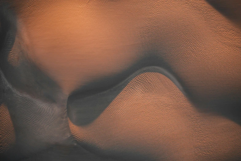 a red pograph of sand and some plants