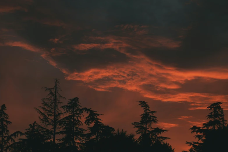 some clouds in the sky above trees and bushes