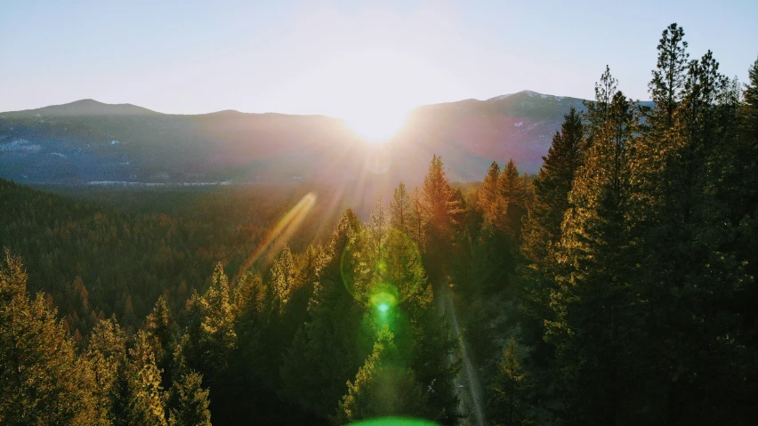 a green sign in the middle of trees near some mountains