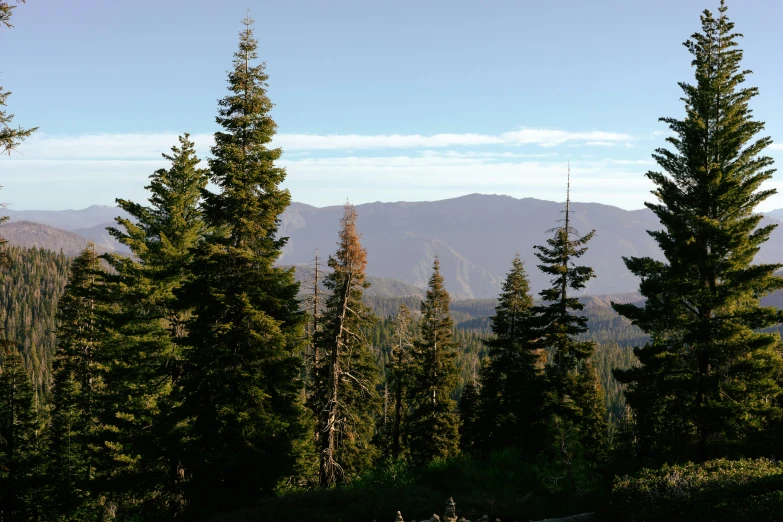 the view from an overlook point of the mountains and trees