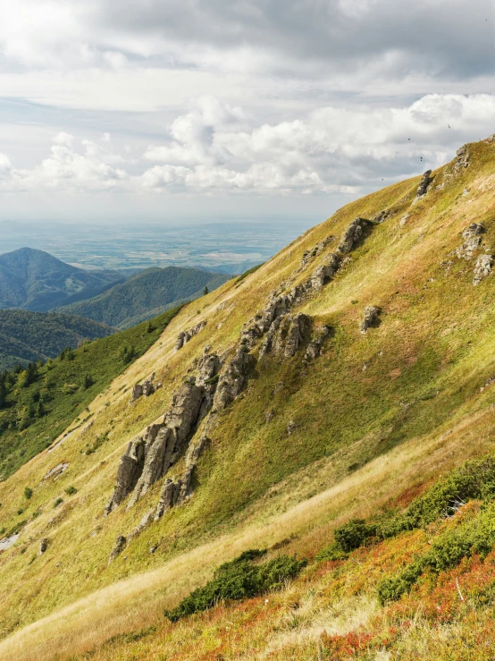 a mountain scene with grass and flowers on it