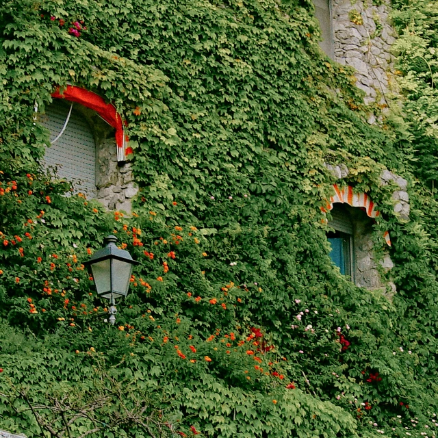 a building covered in vines with flowers and bushes around the edges