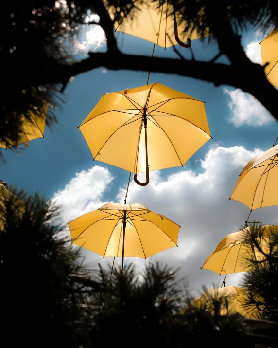 yellow umbrellas hanging from tree nches against blue sky