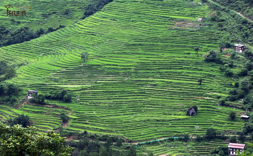 this po shows the green fields and hillsides of the countryside