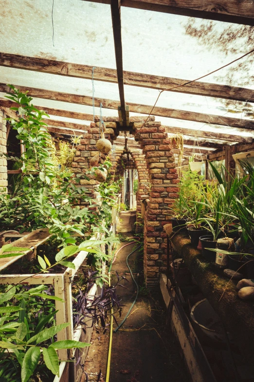 a garden room filled with lots of plants