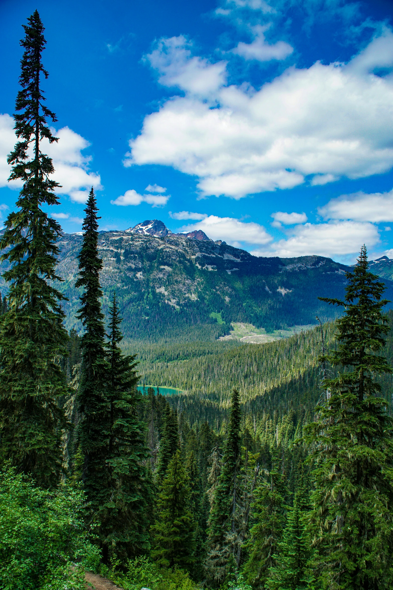 a mountain view of the mountains and the forest