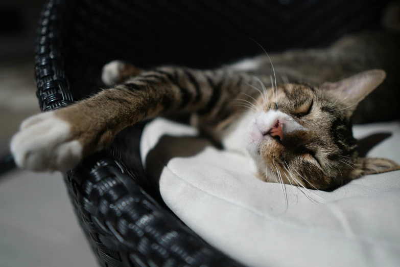 the cat is laying on its side on a wicker chair