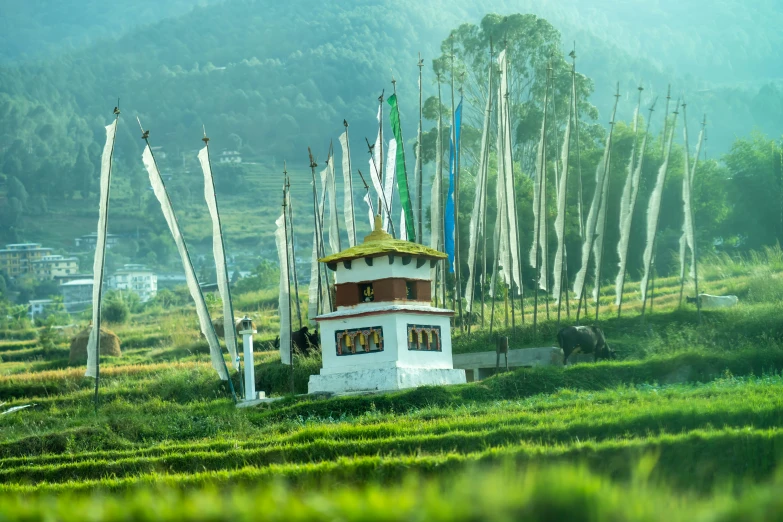 a building made out of various flags in a field