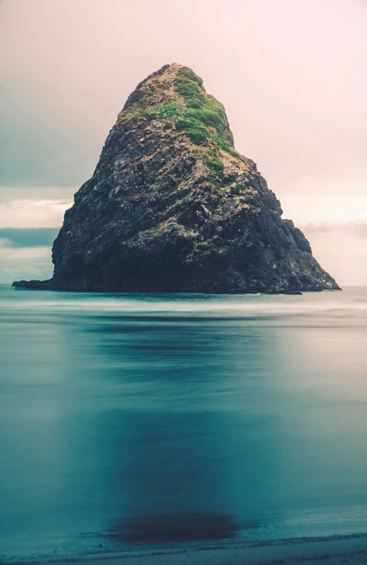 a small rock with green vegetation on it standing in the water