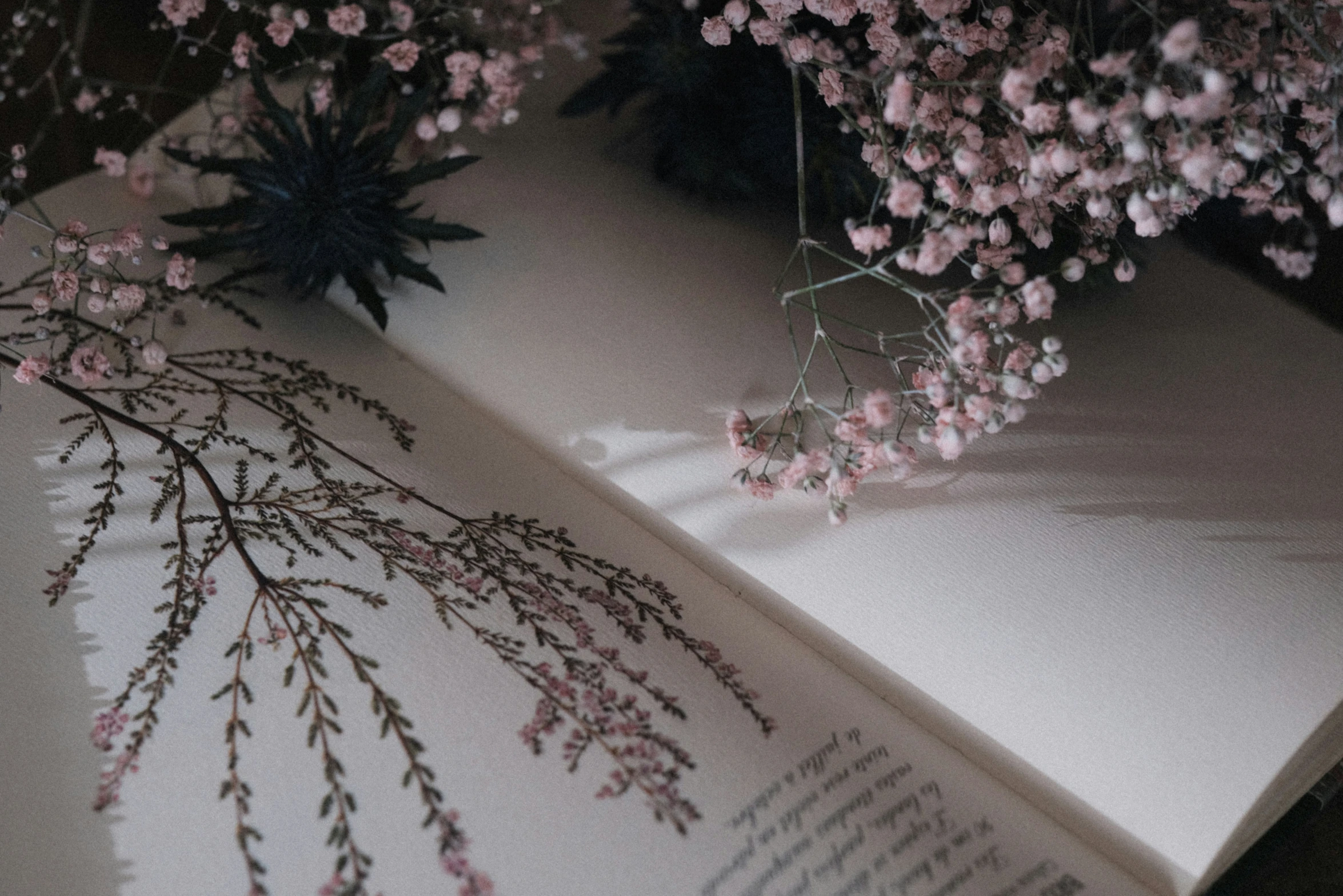 there are flowers in a bouquet over an open book