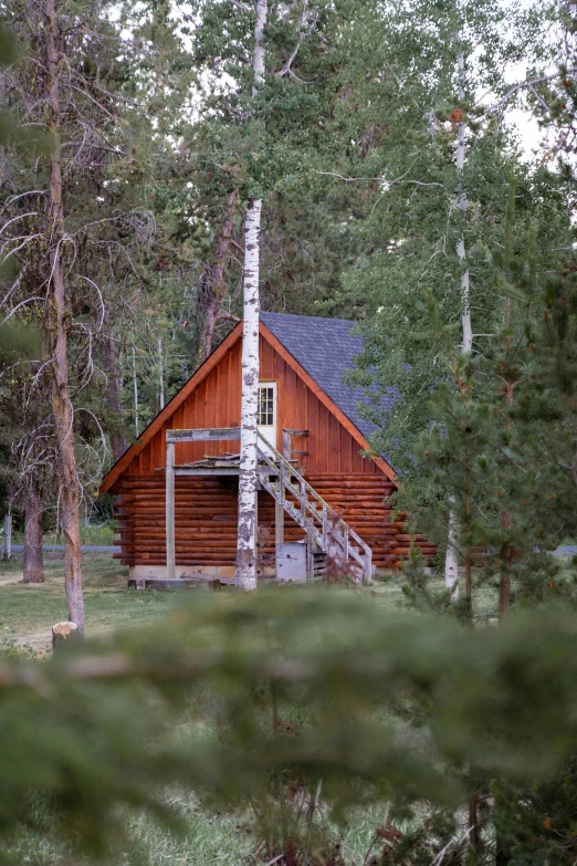 a wooden cabin with stairs built into the side of it