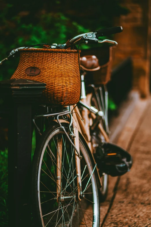 bicycle parked on a bench next to bushbery