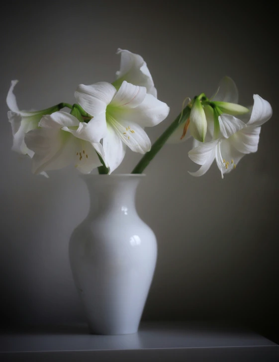 three flowers sit in a white vase