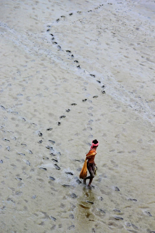 person walking through muddy water towards dog tracks