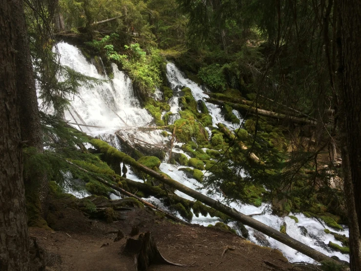 a waterfall surrounded by trees and snow covered ground