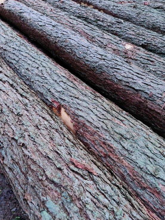 some wood has been stacked on top of one another