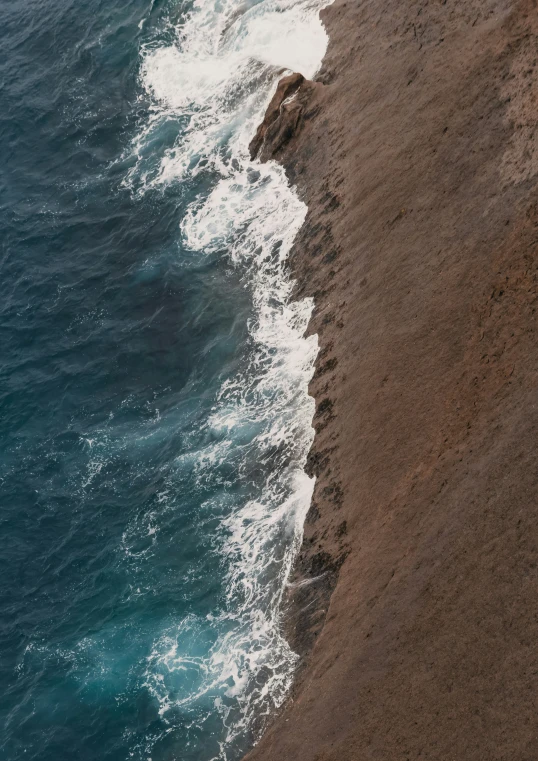 a couple of animals walking along a shoreline