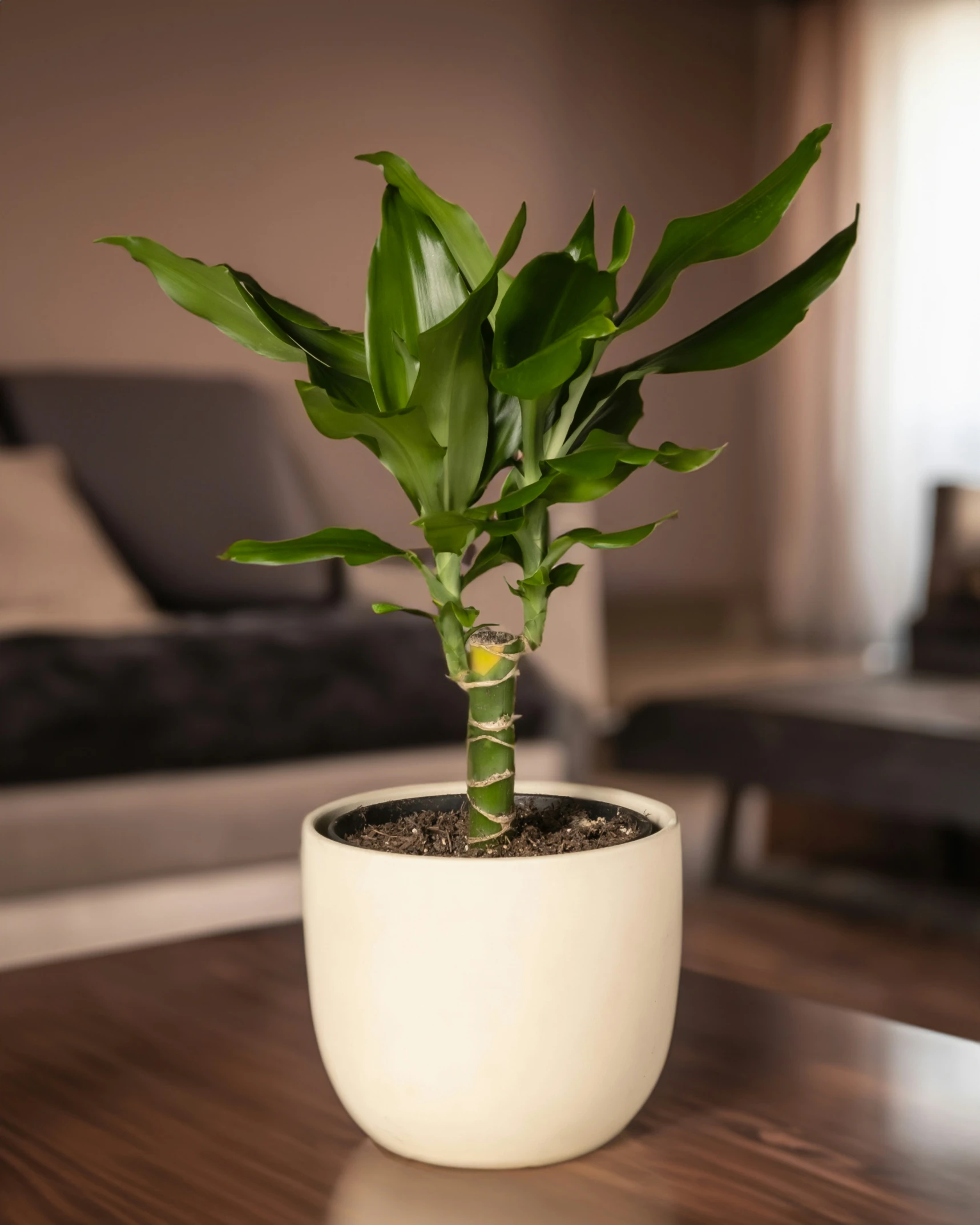 a plant that is inside of a pot