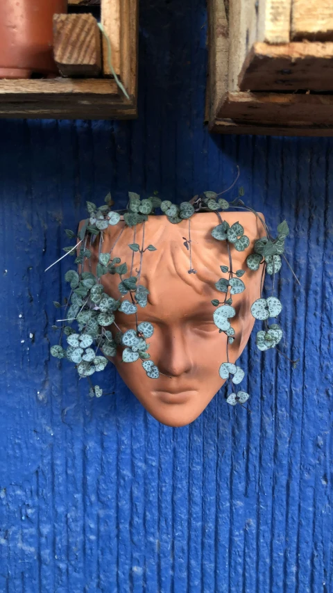 a blue painted wall with a bust of a head with flowers growing in the head
