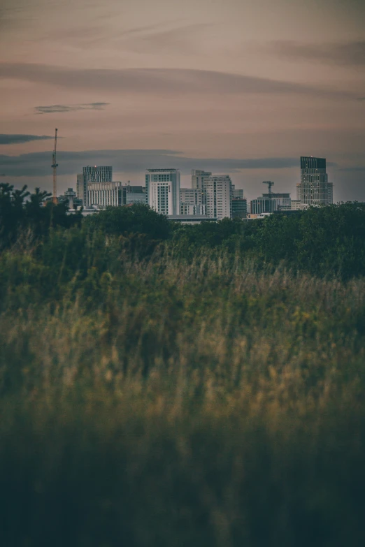 a city skyline with tall buildings and trees