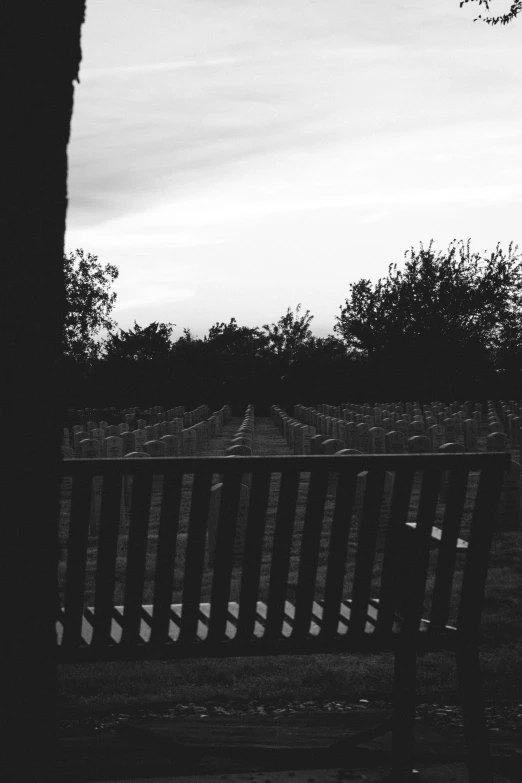 a bench sitting next to a tree near a fence