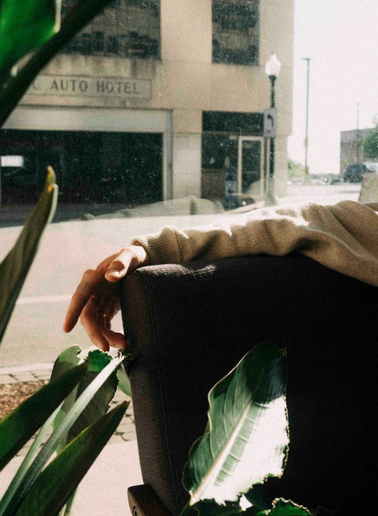 a man sitting on a bench next to a bush