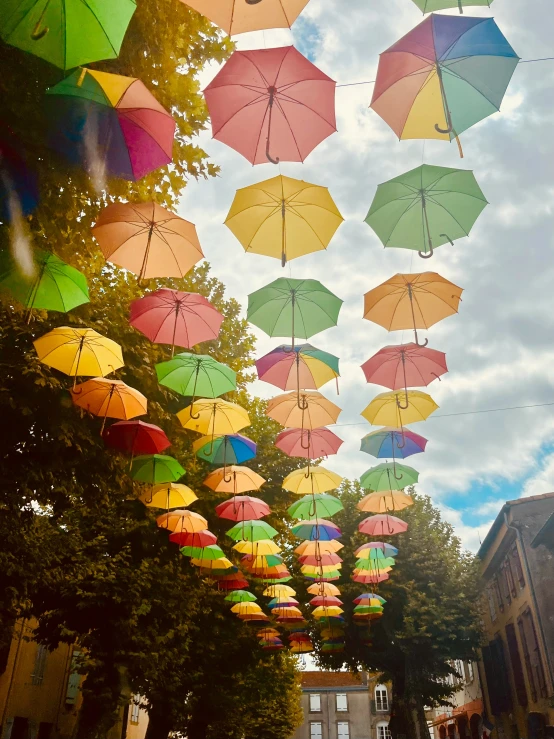 many colorful umbrellas hang overhead on trees and sidewalk