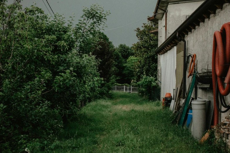 a yard with green bushes and trees under cloudy skies