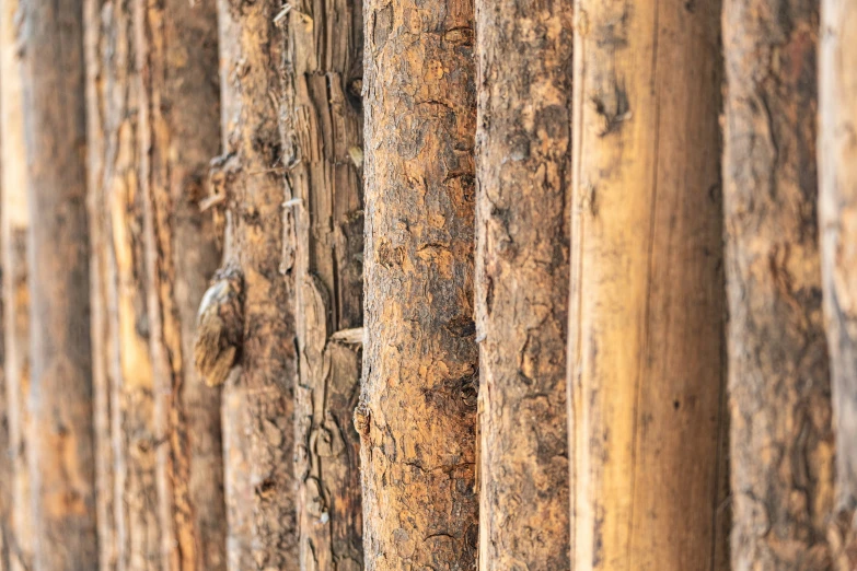 a wall with several brown wood posts that have a lot of brown rust on it