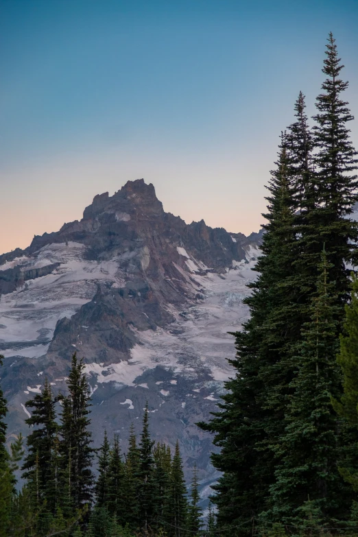 snow covered mountain on top of a mountain with trees