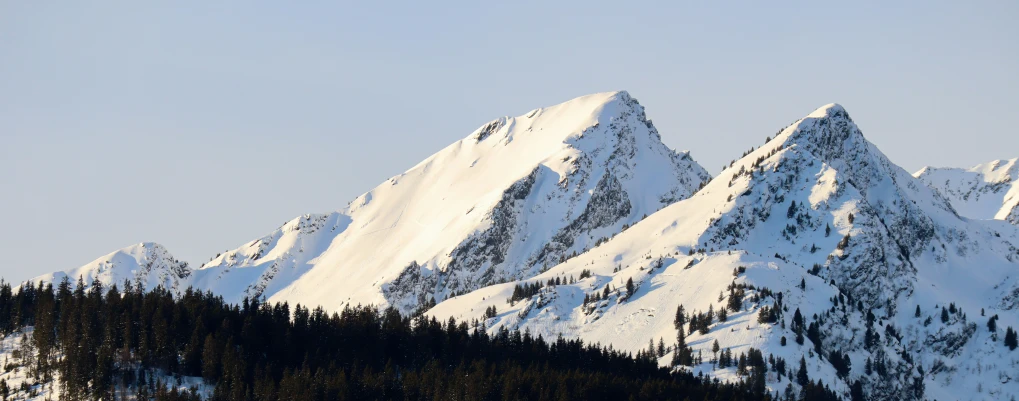 a mountain range covered in snow with some trees