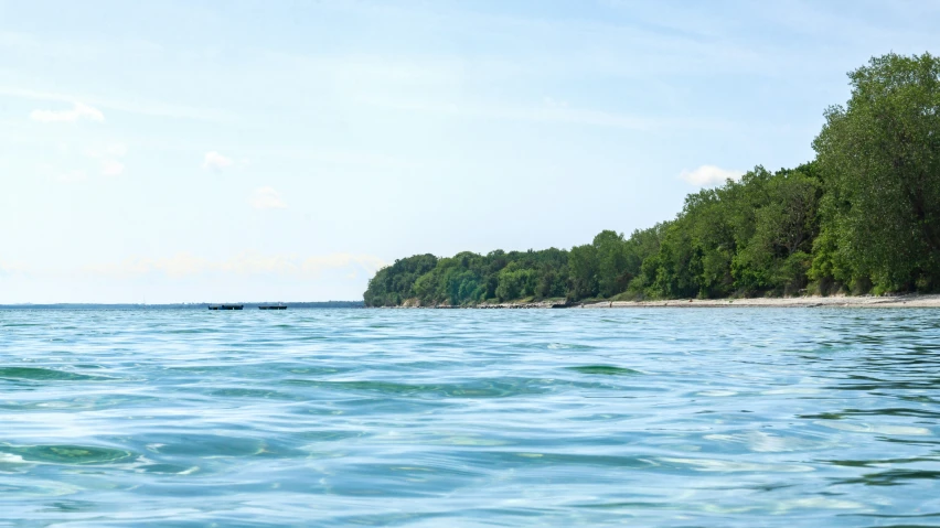 a blue body of water next to trees on a beach