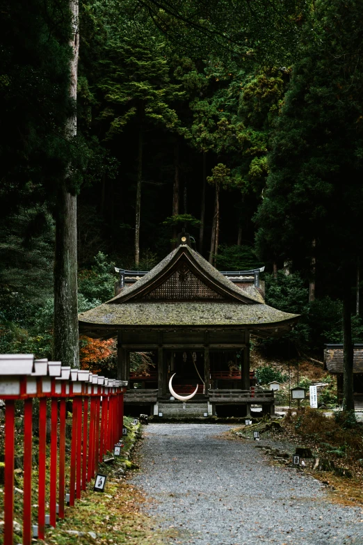 a shrine is situated in a forest area