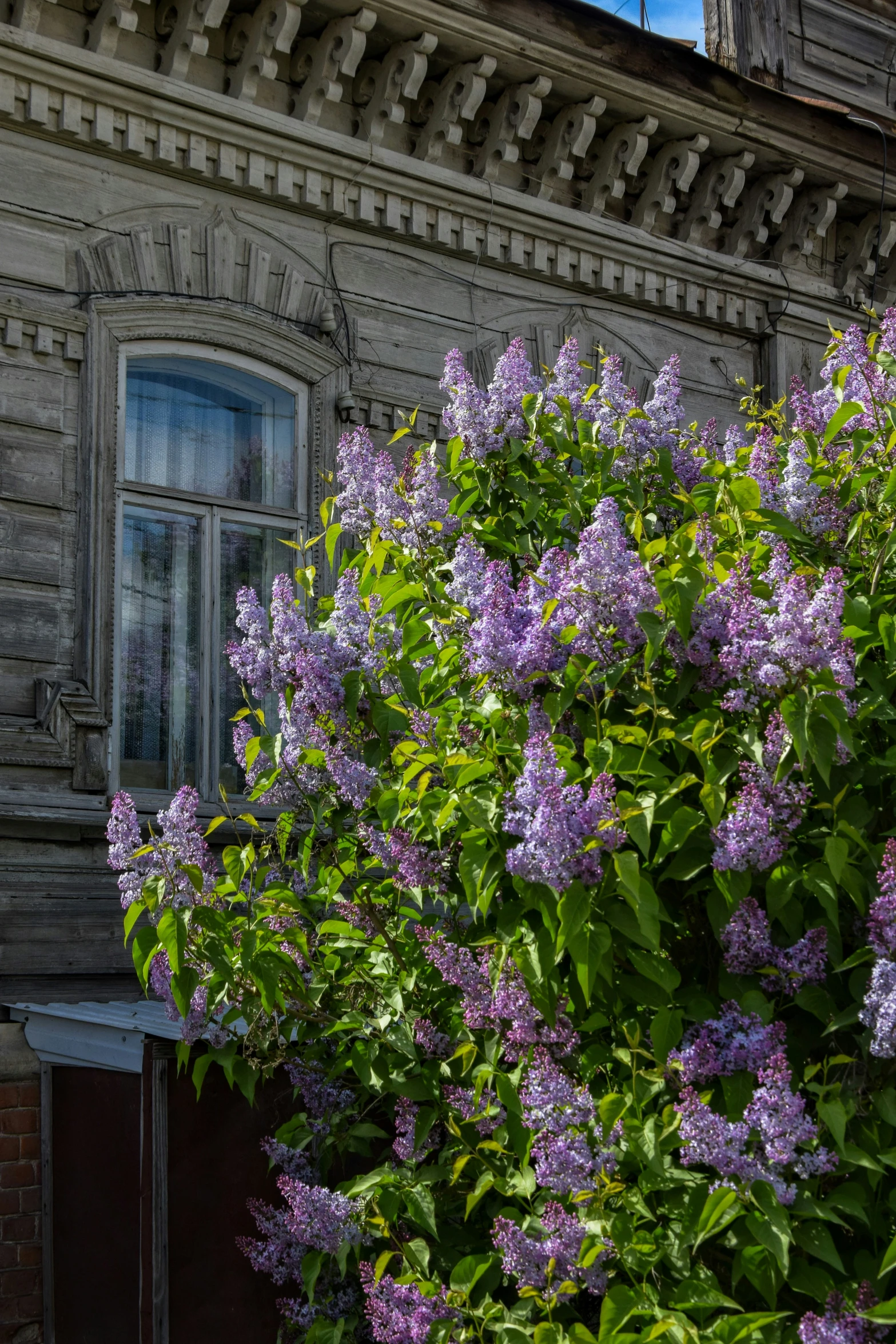 a building with purple flowers in the foreground