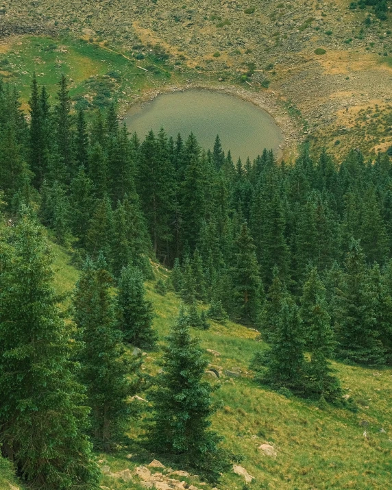 an aerial view of trees and a forest with a lake