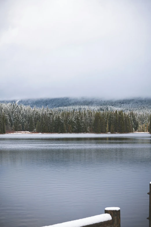 a boat traveling down the water with a forest in the distance