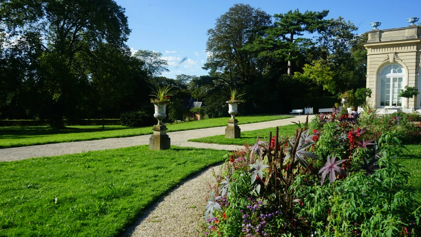 a garden filled with lots of flowers and plants