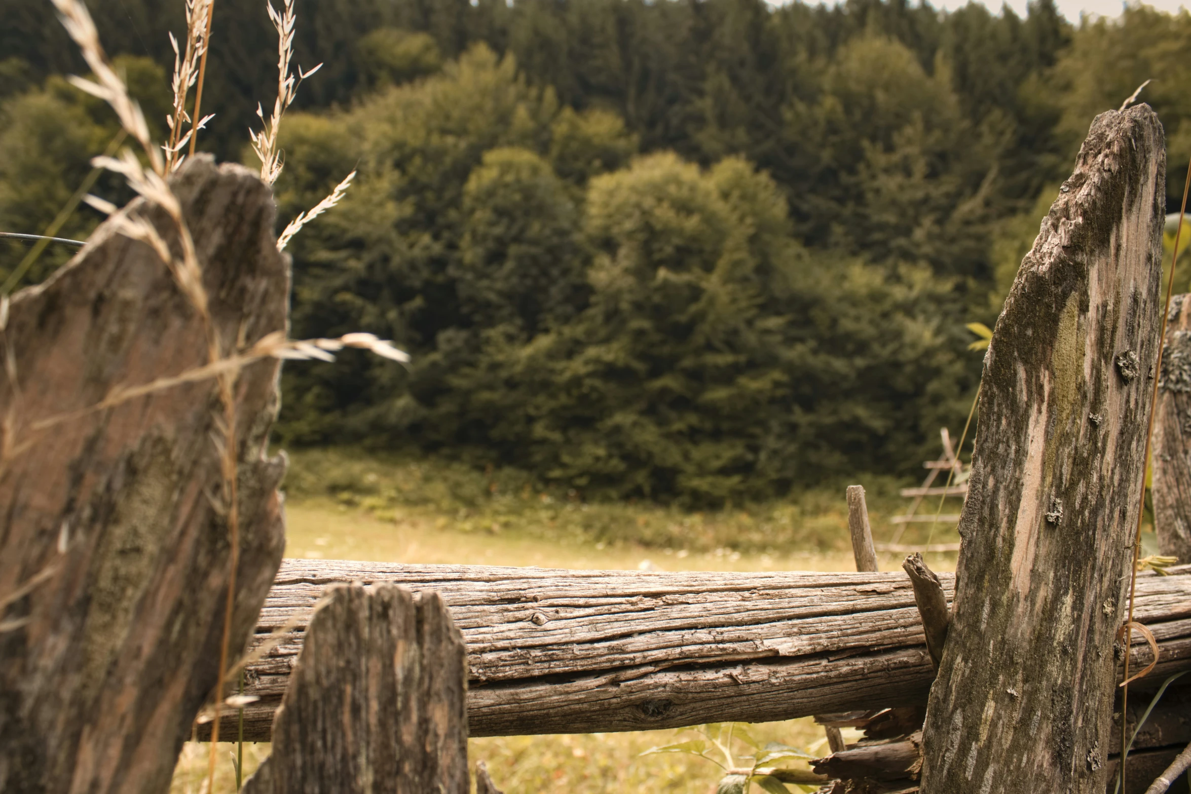 an old fence has logs leaning on it